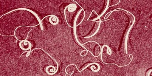 Φωτογραφία παρασίτων από το ανθρώπινο σώμα