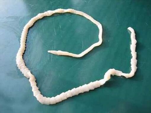 ανθρώπινη ταινία χοιρινού κρέατος